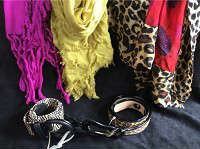 Lot 135 Belts and Scarves