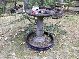 Bird bath - you must move it!
