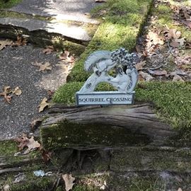 Squirrel crossing sign