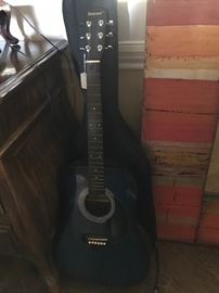 Johnson Guitar