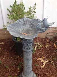 Bird bath - waiting for a new home