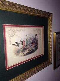 "Redbreast" framed art