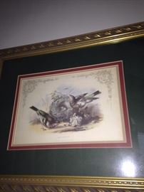 "Chaffinch" - another framed bird picture