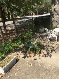 oblong cement planters