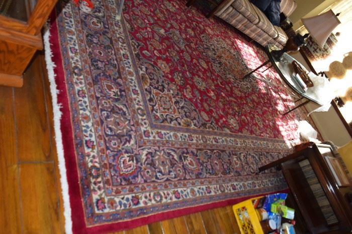 Large 24 x 32 Iranian rug