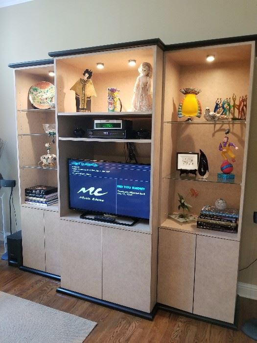 custom entertainment center (lighted) with four (4) glass shelves on the left side and three (3) glass shelves on the right side; plenty of storage underneath includes three (3) pullouts for CDs (left side) and sliding shelves in the center section.