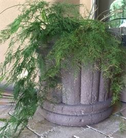 Tuscany Urn Outdoor Concrete Planters (6) Phoenix Precast Products 
