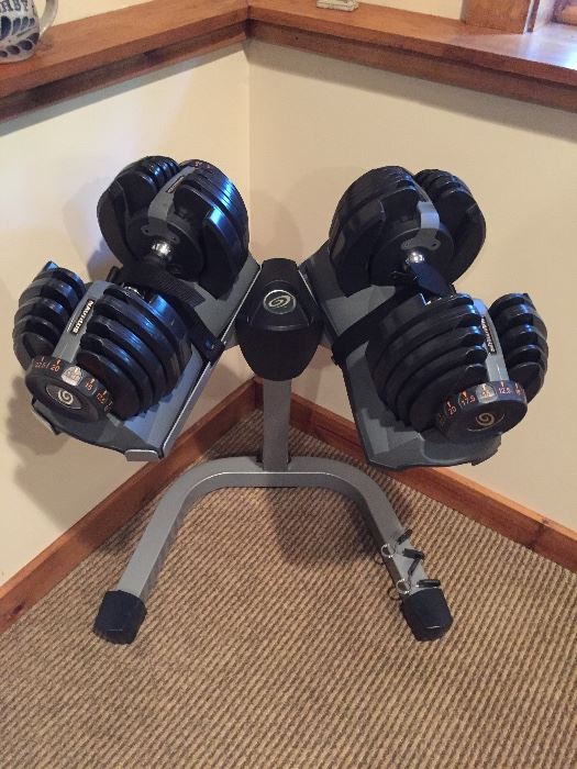 Nautilus weights with stand