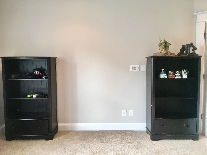 Pair of bookcases (with one drawer)