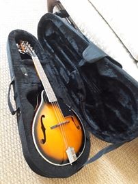 Beautiful Mandolin in fantastic condition.