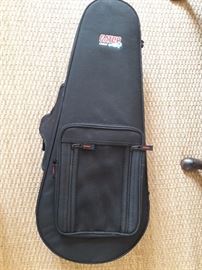Mandolin in pristine Gator case