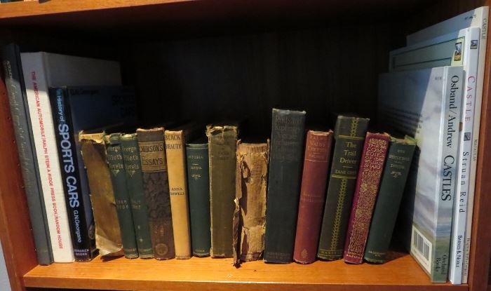 Many antique and rare books