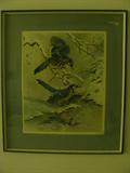 Beautiful print of birds