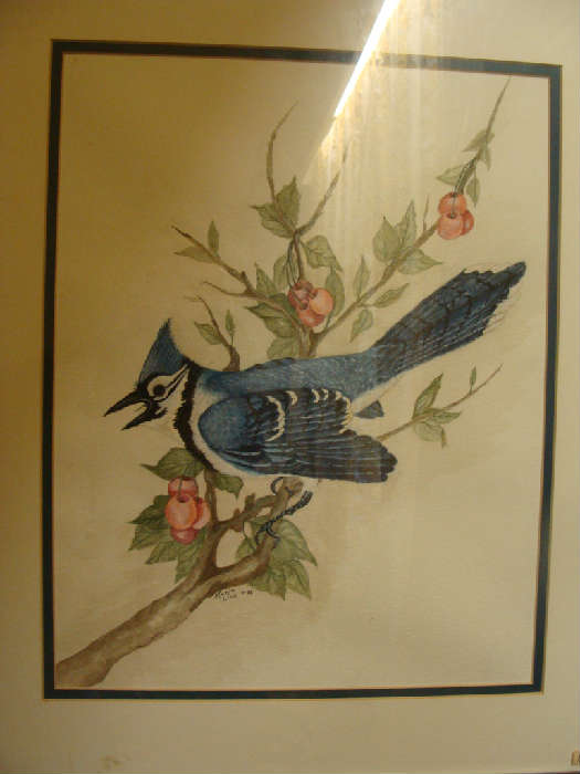 Artwork by Marie Lish: Beautiful painting of Blue Jay