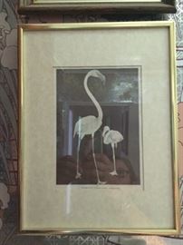 flamingo print