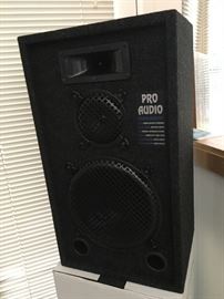 Pro Audio Studio monitors