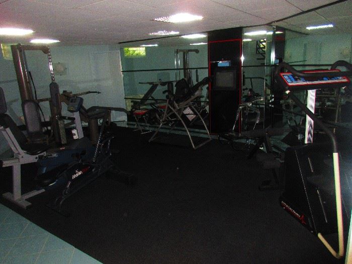 In-home Gym