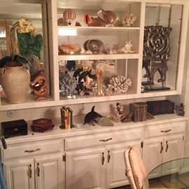 Lots of seashells coral and other collectibles