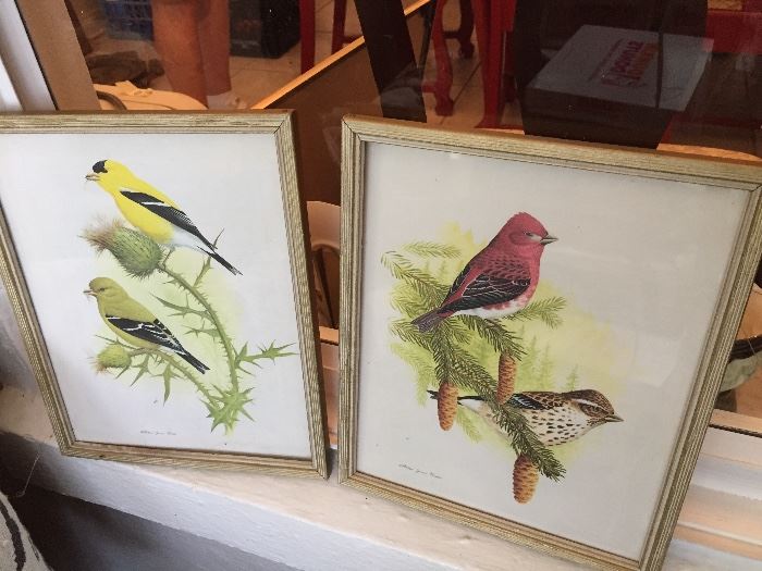Framed Bird art prints
