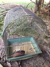 Birdcage.