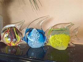 Glass fish.