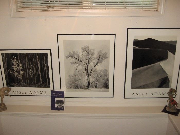 Ansel Adams Pictures...