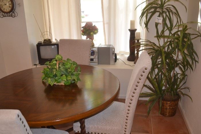 Dining Set with 4 Chairs, artificial plants, cd player with speakers, smaller older tv