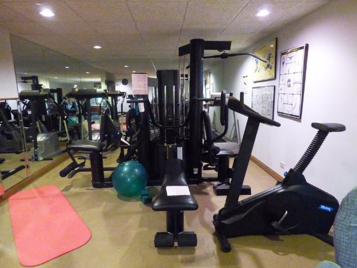 Exercise Equipment Room, , Bicycle, Stepper,  and Precor Treadmill.      THE VECTRA UNIVERSAL GYM AND THE RECUMBANT BIKE ARE SOLD.