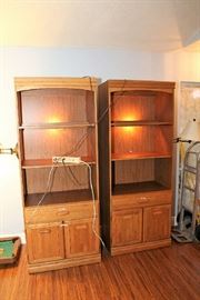 Book Cases with Lights