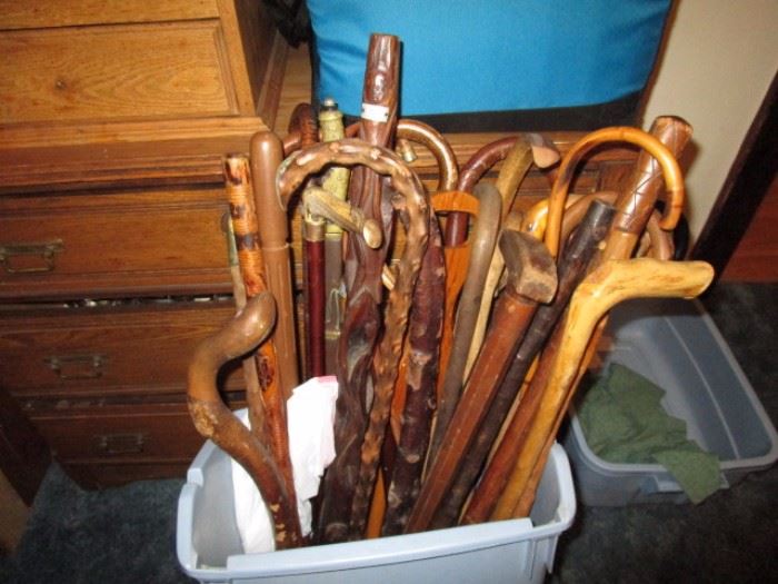 Antique cane collection