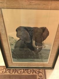 Rare Large Folio African Elephants Litho by John Ruthven