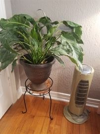 many plants in this sale