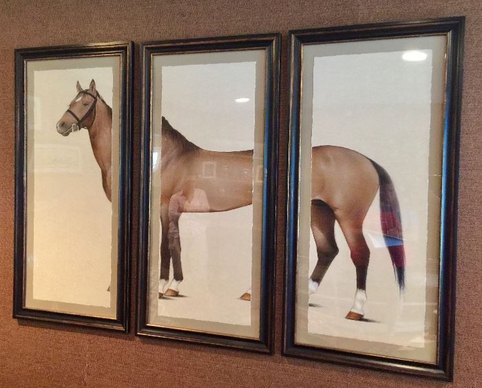 3 Paneled Framed Triptych of Horse 19" x 40"