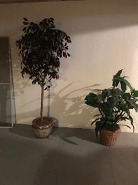 FAUX PLANTS