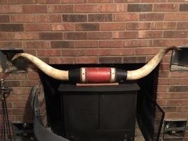 Longhorn wall art