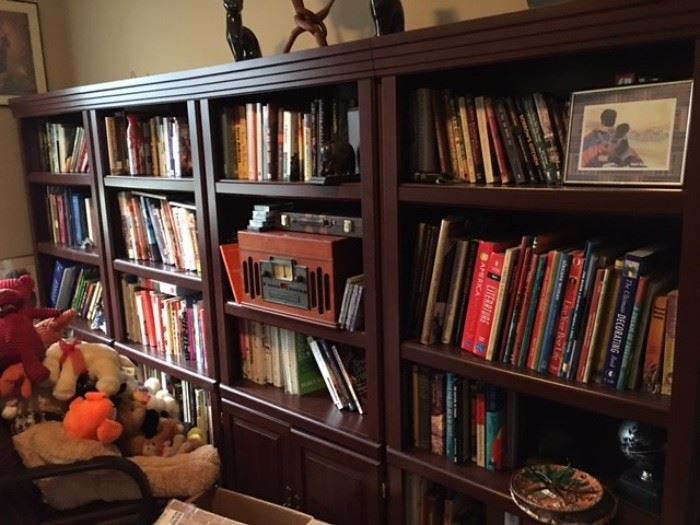 Bookcase with Doors, books, trinkets, artwork 