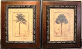 Palm Tree in frames