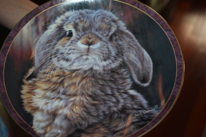 Bradford Exchange "Bunny Tales" pair of Plates and Wall Display Unit