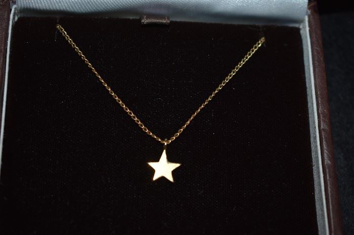 14K Gold Star Pendant Necklace with long chain