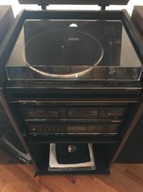 Pioneer sound system, awesome!