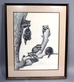 Guy Coheleach Raccoon Print, Pencil SIGNED, Bio on Back, Matted & Framed, 25" x 30.5"