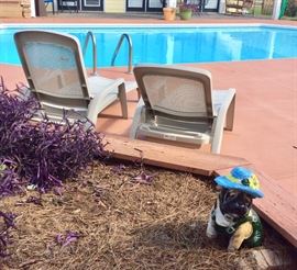 Pool Furniture & Lovely Lady Bull Dog 