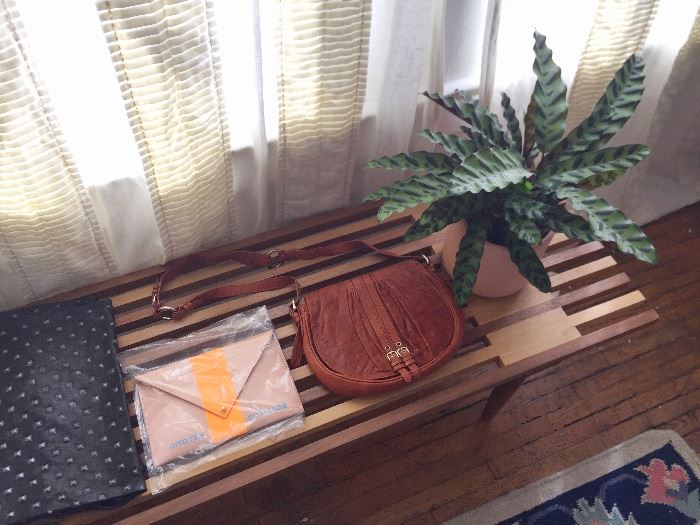 Midcentury slat bench, NEW Clare V. limited edition clutch in plastic, plants