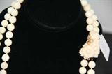 Light Pink Coral Necklace and Earrings