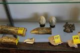 Scrimshaw Collection