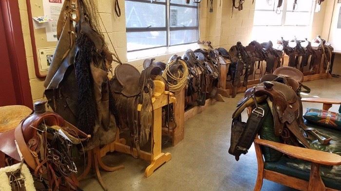 Vintage cavalry saddles and tack