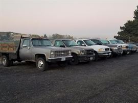 CARS & TRUCKS, PICKUPS