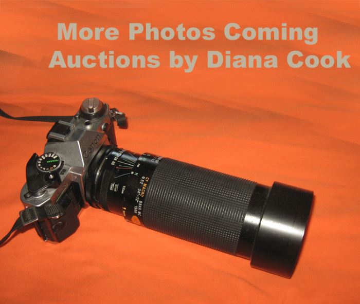 Diana Cook, Auctioneer