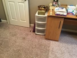 Plastic storage bins