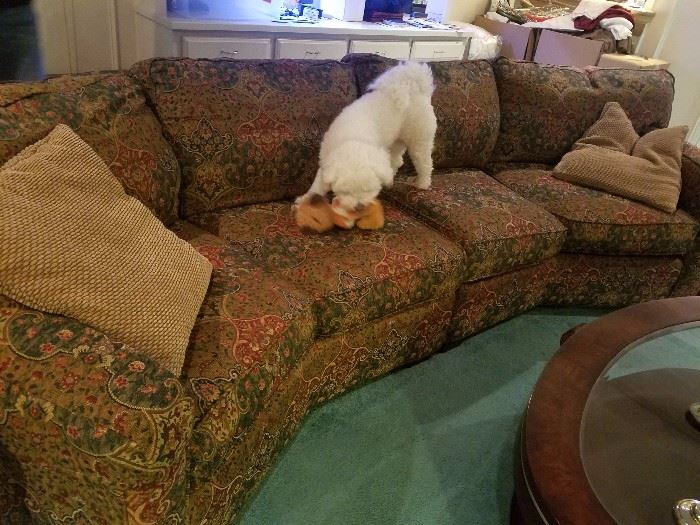 beautiful couch, dog not for sale